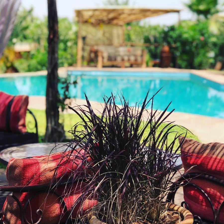 Les Jardins De Taja Hotel Ourika Buitenkant foto