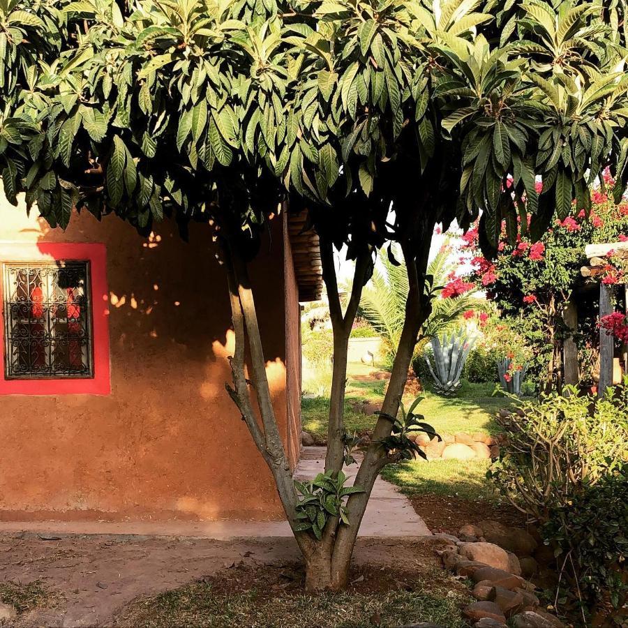 Les Jardins De Taja Hotel Ourika Buitenkant foto